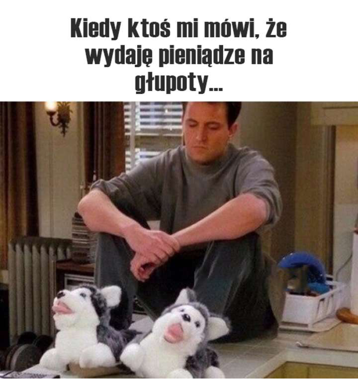 No jak to głupoty