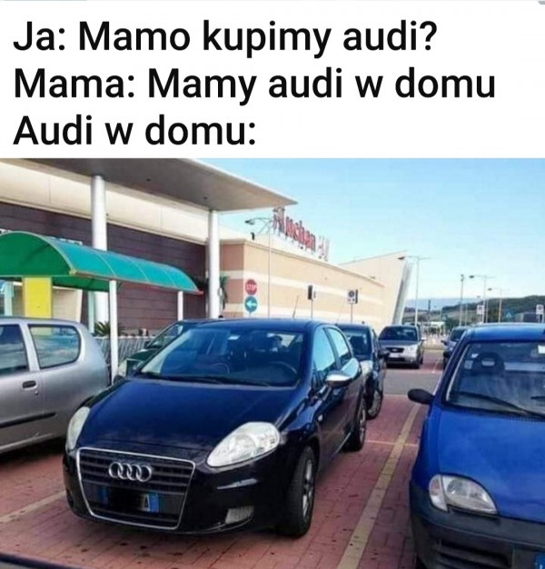 Kupimy Audi?